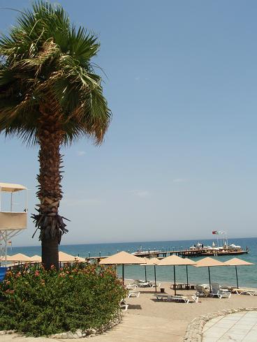 f0140170_23585231.jpg
