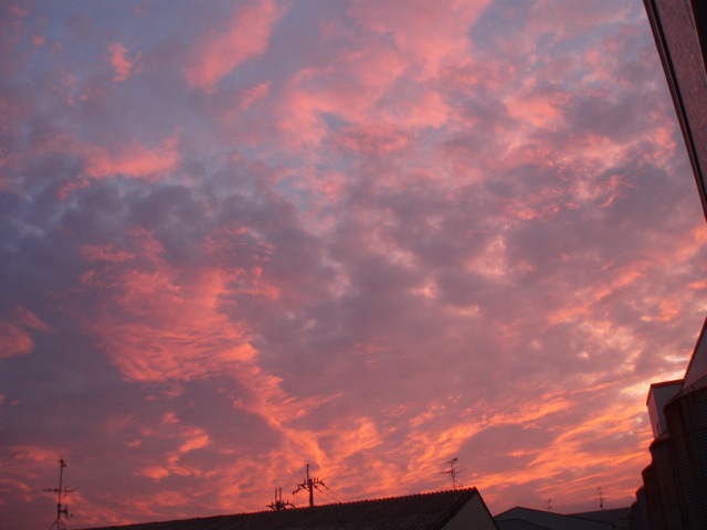 e0114371_2341036.jpg