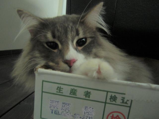 f0200773_15584119.jpg