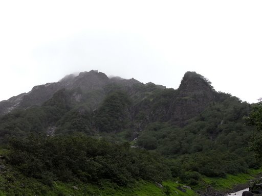 f0054075_15182286.jpg