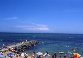 e0113787_848761.jpg