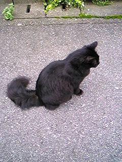 c0069389_2365318.jpg