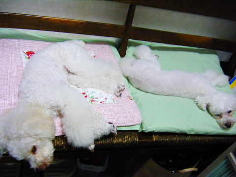 b0104592_10531710.jpg