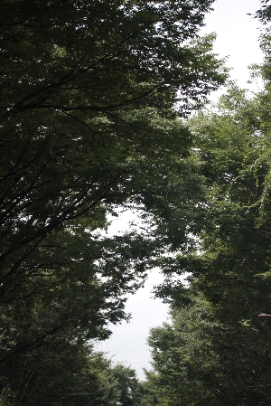 d0133693_21311989.jpg