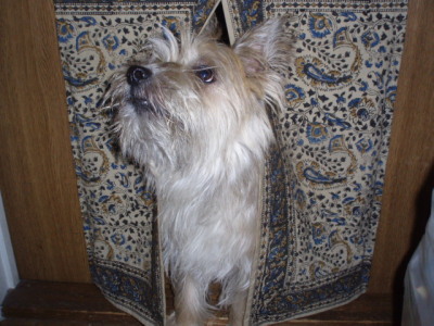 c0086895_1504139.jpg