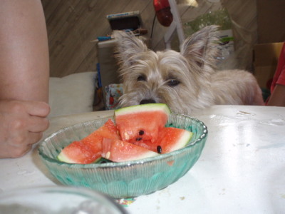 c0086895_1522429.jpg