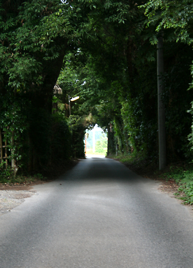 d0100095_746810.jpg