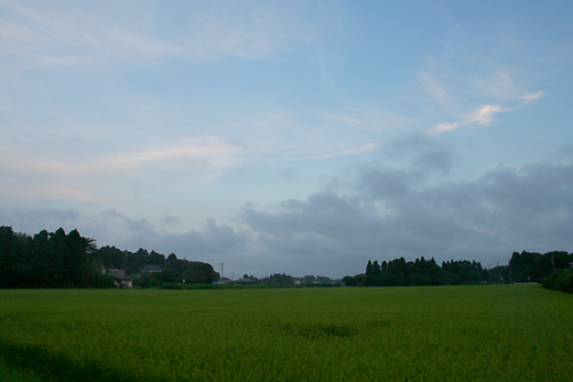 d0100095_7474757.jpg