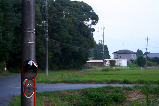 d0100095_7501243.jpg