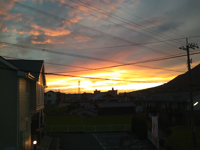 f0077595_1137293.jpg
