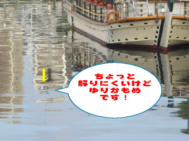 c0138198_13532089.jpg