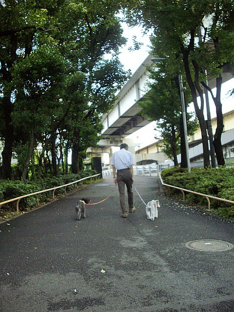 c0138198_135613100.jpg