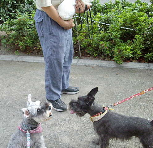 c0138198_140672.jpg