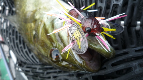 c0182098_8405267.jpg