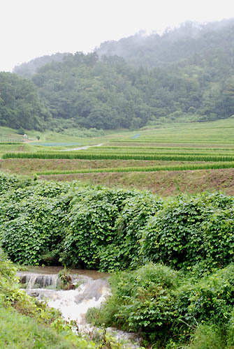 c0035399_2216034.jpg