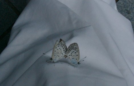 a0031000_22391337.jpg