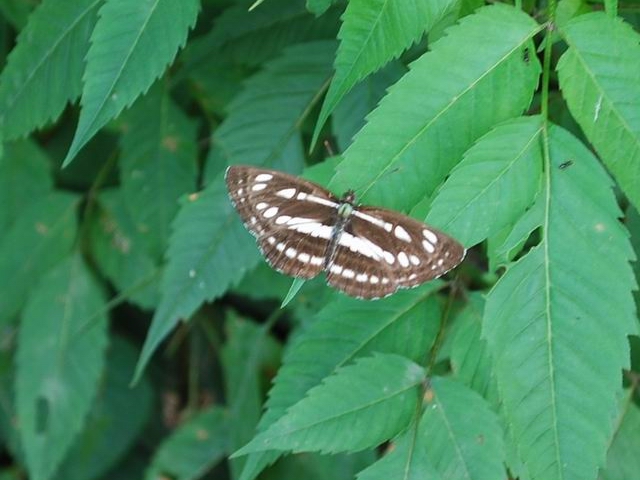 e0025300_22481191.jpg