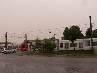 a0056401_19534419.jpg