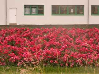 a0056401_19545126.jpg