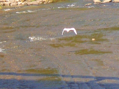 f0146802_9122117.jpg