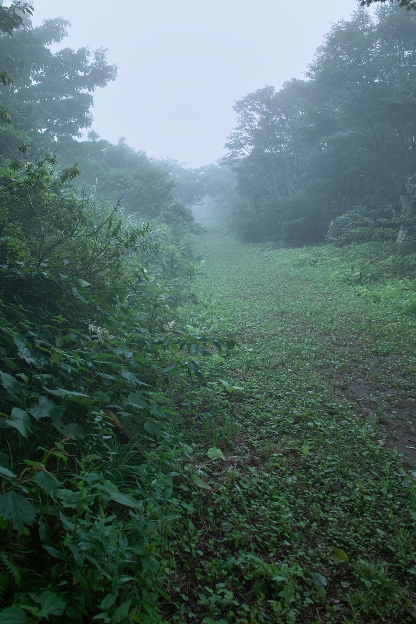 b0137311_0143685.jpg