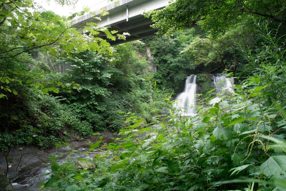 b0137311_03236.jpg