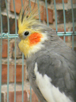 e0148120_23331239.jpg