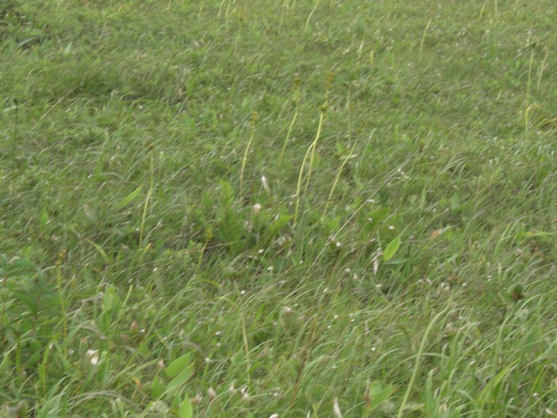 d0136122_8142282.jpg