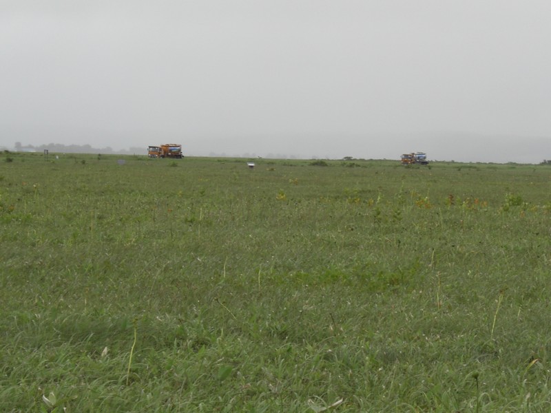d0136122_8192178.jpg