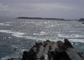 f0022024_2351667.jpg