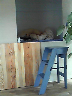 f0200832_10424392.jpg