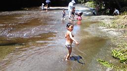 f0202633_8554221.jpg