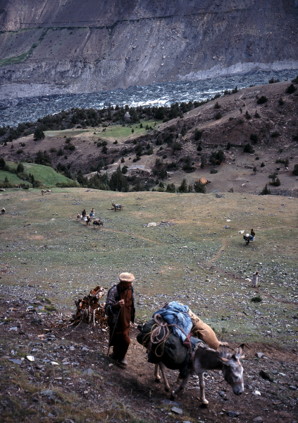 d0091834_16173927.jpg