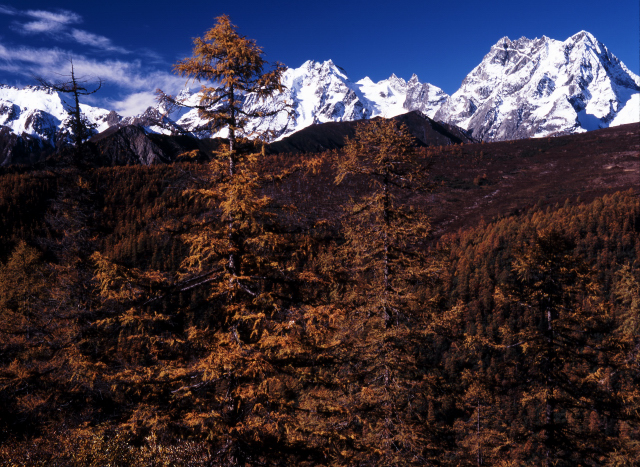 d0091834_16205589.jpg