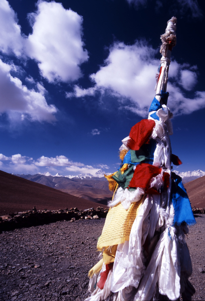d0091834_16215469.jpg