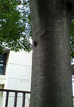 f0161834_2213848.jpg