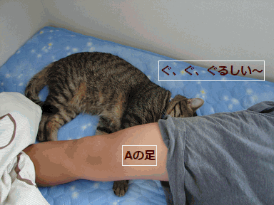 c0136736_1547572.gif