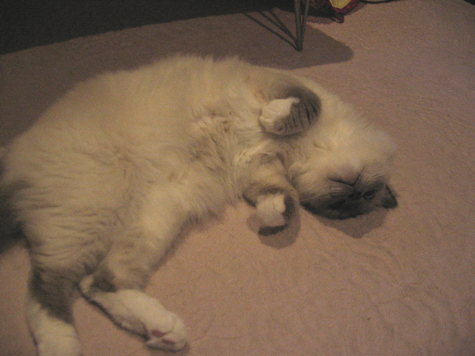 d0140838_051063.jpg