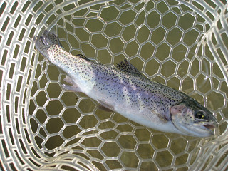 f0065341_18422753.jpg