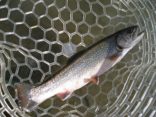 f0065341_18425287.jpg