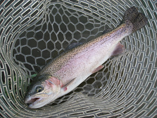 f0065341_18435424.jpg