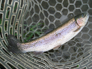 f0065341_18441377.jpg