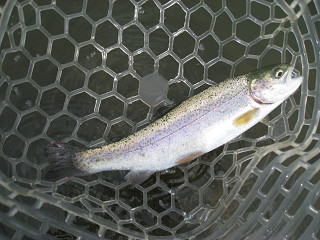 f0065341_18464138.jpg