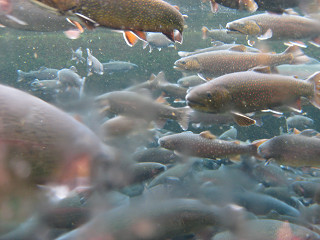 f0065341_1846466.jpg