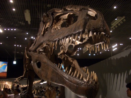 c0103644_14371952.jpg
