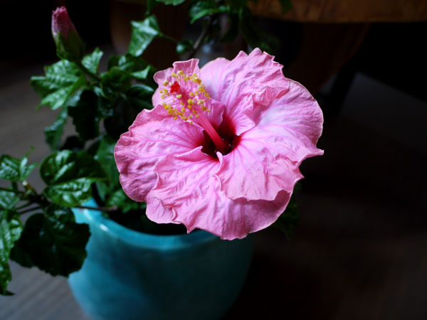 c0131544_0113653.jpg