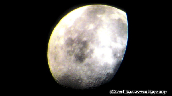 c0067646_2391362.jpg