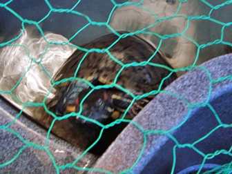 c0086746_0485424.jpg
