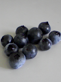 a0094449_20124572.jpg