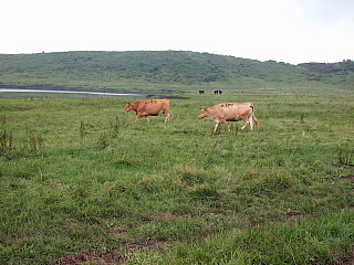c0123149_9132677.jpg